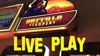 Buffalo Stampede Live Play at max bet $3.75 Aristocrat Slot Machine