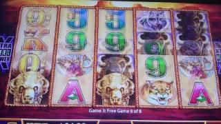 Wonder 4 Slot play - Buffalo Gold - All Bonuses 4/18/17