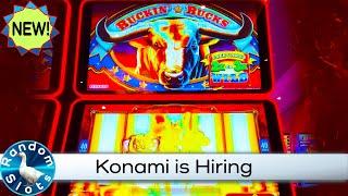 New️Buckin' Bucks Slot Machine Bonus