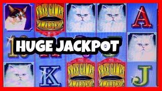 BEST SLOT TO WIN MONEY ON - KITTY GLITTER HIGH LIMIT MAX BETS