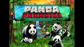 Panda Paradise - Pandas Went Wild