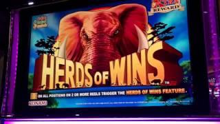 HUGE WINS!!!! Christmas With Herds Of Wins Slot (5 videos)