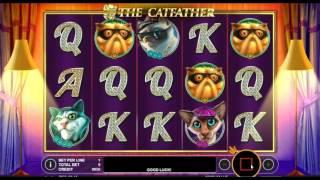 The Catfather - Onlinecasinos.Best