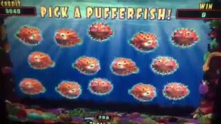 A LOAD OF  BONUS on LUCKY LION FISH Slot Machine - Pick a PUFFERFISH