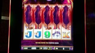 Buffalo Slot Machine | Max Bet  Live Slot Play