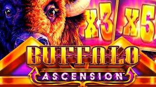 SUPER BIG WIN! STAMPEDE IN THE FREE GAMES!!?  BUFFALO ASCENSION Slot Machine (ARISTOCRAT GAMING)