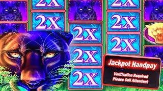 HIGH LIMIT WILD MULTIPLIERS IN POWER PANTHERS  $50 JACKPOT BETS  MEGA JACKPOT WIN