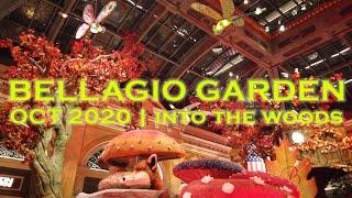 Bellagio Conservatory & Botanical Garden | OCT 2020 Walkthrough
