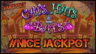 Lock It Link Cats, Hats & More Bats JACKPOT $25 MAX BET BONUS ROUND ️LIGHTNING LINK SAHARA GOLD