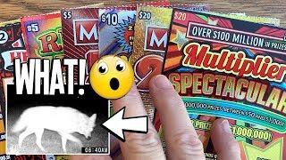 NICE WINS!  $20 Multiplier Spectacular, $20 MONOPOLY 200X PLUS !!  $85 TX Lottery Scratch Offs