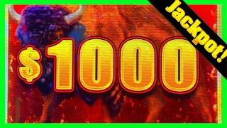 MASSSIVE WINS On New Buffalo Link! JACKPOT HAND PAY! (Buffalo Link, Griffin's Throne Grand and More)