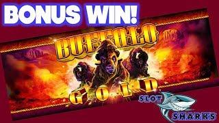 Bonus Win on Buffalo Gold ! Aboard the Norwegian Getaway