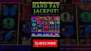 $50 Bets Lead To This! #slotwin #slotjackpot #jackpot #casino #highlimitslots #gambling #slots