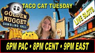 (LIVE SLOT PLAY) TACO CAT TUESDAY 01/05/2021