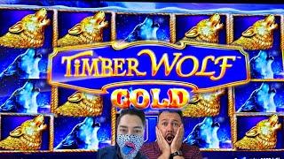 Our 1st BONUS on NEW Timber Wolf GOLD was HUGE!