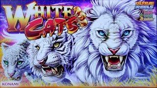 SUPER BIG WIN on WHITE CATS SLOT POKIE BONUSES by KONAMI PECHANGA CASINO
