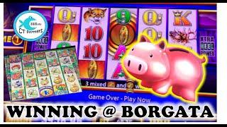 SPINNING OUR WAY TO BIG WINS @ BORGATA! Stinkin' Rich, Piggies, Buffalo Tower!