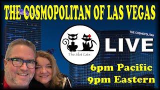 LIVE: Taco Cat Tuesday 10/29/2019
