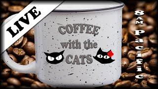 LIVE: 08/04/2019