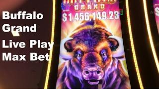 Bufallo Grand Live Play at Max Bet Slot Machine The Cosmopolitan