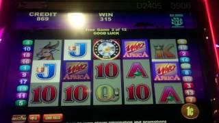 Nice Win - Gold Coin Jackpots - Wild Africa Slot Machine Bonus (2 clips)