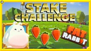 FAT RABBIT Stake Challenge  How Far Can I Go?