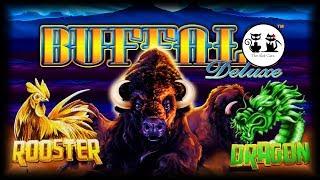 58 BONUS SPINS PLUS FAST FORTUNE PAYOUT!  BUFFALO DELUXE  THE SLOT CATS