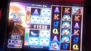 Great Owl (WMS)- Bonus Round Big Win