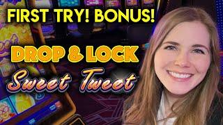 First Time Playing Drop & Lock Sweet Tweet Slot Machine! Got The Free Spins!!