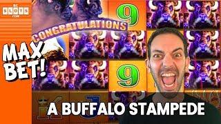STAMPEDE!!!  MAX BET w/ Buffalo Max  BCSlots