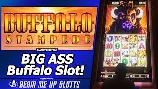 BIG ASS Buffalo Stampede Slot - Super Big Win in New "Behemoth" Cabinet by Aristocrat