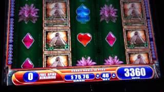 Jungle Wild 3 bonus WMS slot