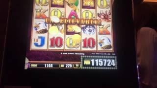 Buffalo Stampede Slot Machine -- Jackpot Hand Pay