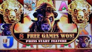 Buffalo Gold Slot Machine Max Bet Bonuses Won | Live Slot Play w/NG Slot