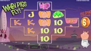 NETENT When Pigs Fly Slot Review REVIEW Featuring Big Wins With FREE Coins