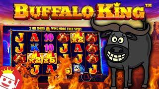BUFFALO KING ️ FANTASTIC WIN!