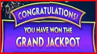 GRAND JACKPOT  JACKPOT!  WONDER 4 BUFFALO GOLD