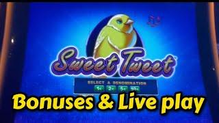 Sweet Tweet - Bonuses & Live Play