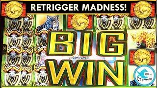 NON-STOP COINSSUPER BIG WIN MIDNIGHT STAMPEDE SLOT MACHINE - Thanks Buffalo!