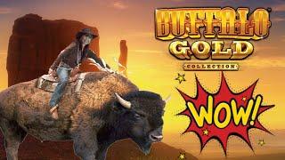 BUFFALO GOLD ON FIRE! 48 SPINS FOR THE BIG WIN!