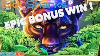 Prowling Panther  HUGE Bonus Win  !  - Plus Bonus Wild Bear Paws Wins !