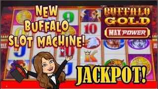 NEW BUFFALO GOLD Max Power Slot Machine!  Jackpot!
