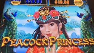 NEW Dragon Link Slot Machine - Peacock Princess Live Play & Bonus