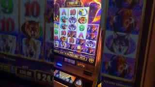 $24,000 JACKPOT on BUFFALO! #vegas