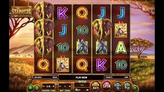 Stampede Online Slot from BetSoft Gaming - Double Up Game Feature!