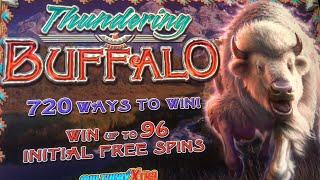 LATE NIGHT  NEW THUNDERING BUFFALO Slot Machine Game - LETS GET A BIG WIN BONUS  BBBB