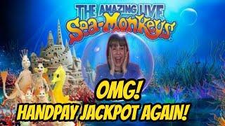 WOW! MY THIRD & LARGEST JACKPOT HANDPAY JACKPOT ON SEA MONKEYS!