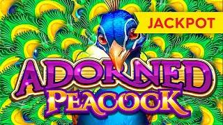 SURPRISE JACKPOT on the Adorned Peacock Slot! YOU JUST NEVER KNOW!