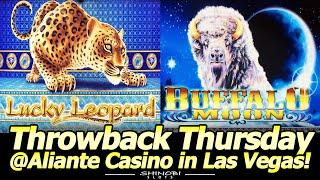 Throwback Thursday in Las Vegas! Lucky Leopard and Buffalo Moon Double or Nothing at Aliante Casino!