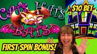 First Spin Bonus! Cats Hats & More Bats & High Limit Zoltar